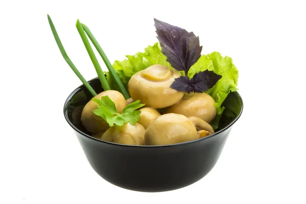 Rijp verse champignon — Stockfoto