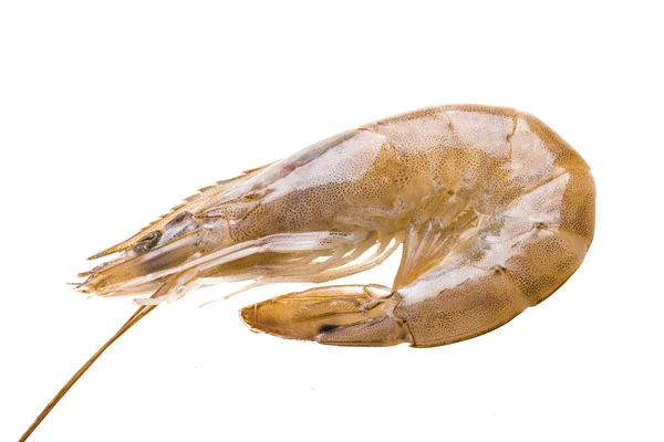 Big raw shrimps — Stock Photo, Image