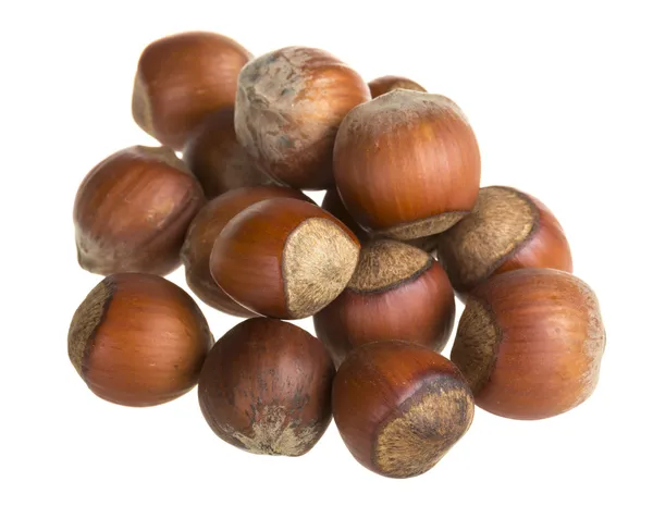 Dried hazelnuts — Stock Photo, Image