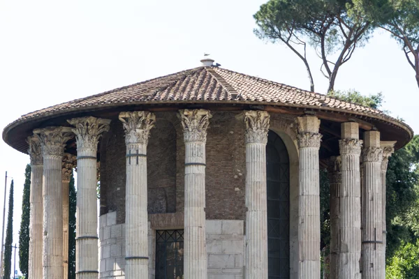 Ρώμη - ναός vesta — Φωτογραφία Αρχείου