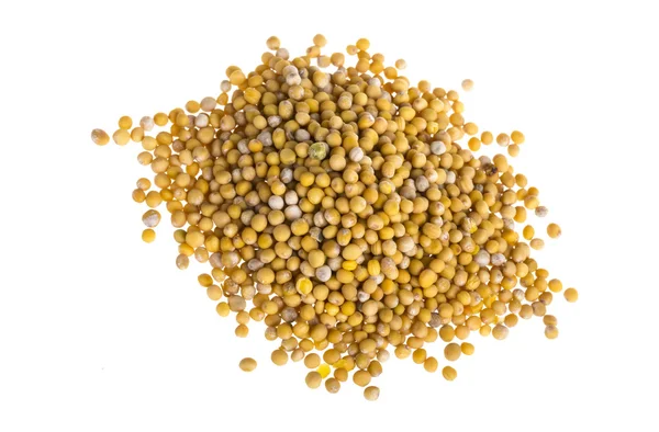 Жовті зерна гірчиці — стокове фото