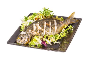 Salema porgy - sarpa balık