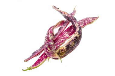 kırmızı fasulye pod