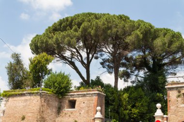 Roma, İtalya. eski şehrin tipik mimari detaylar