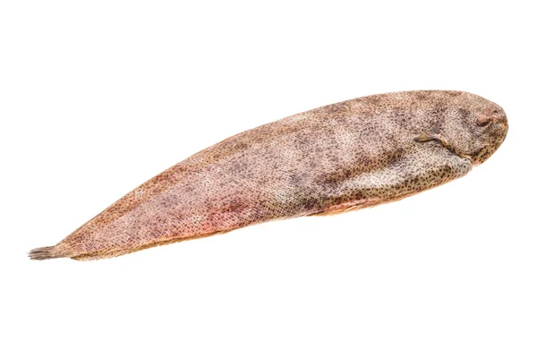 Fiska dover sole — Stockfoto