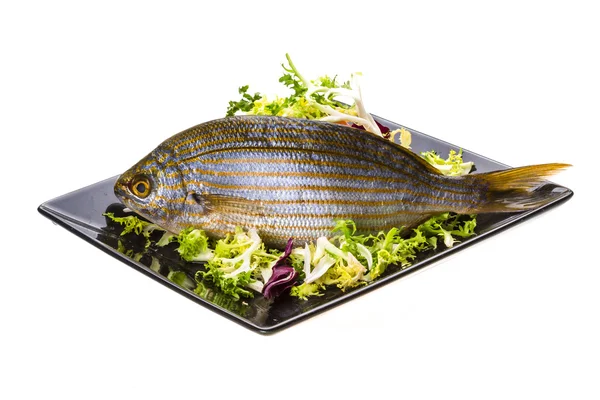 Salema porgy - Sarpa-Fisch — Stockfoto