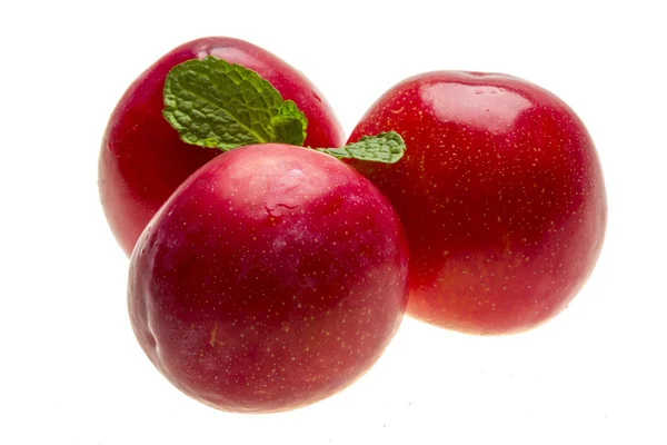 Bright ripe plum with mint — Stock Photo, Image