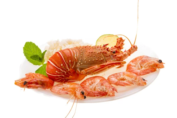 Spiny lobster, shrimps and rice — Stock Photo, Image