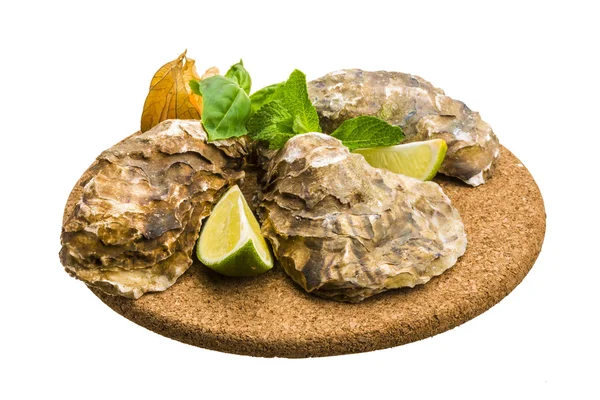 Frische Auster — Stockfoto