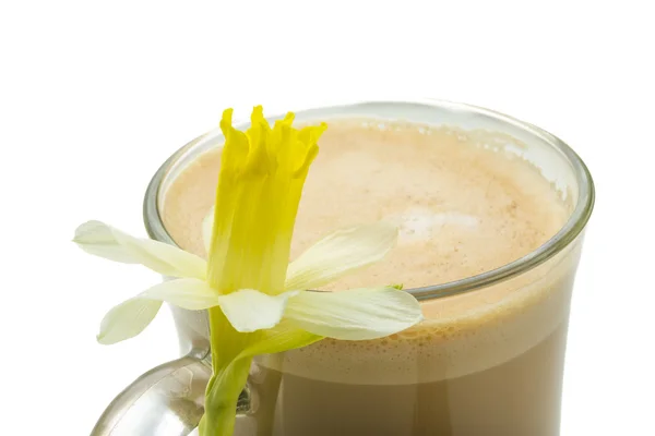 Coffee Late with Flower, mint, star-anise and cinnamon — Stock Photo, Image