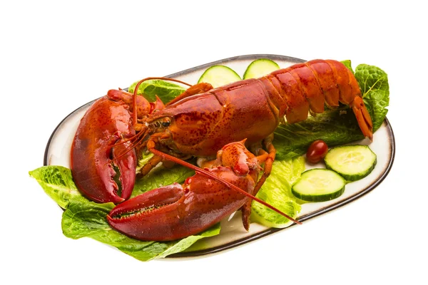 Large Lobster — Stock Photo, Image