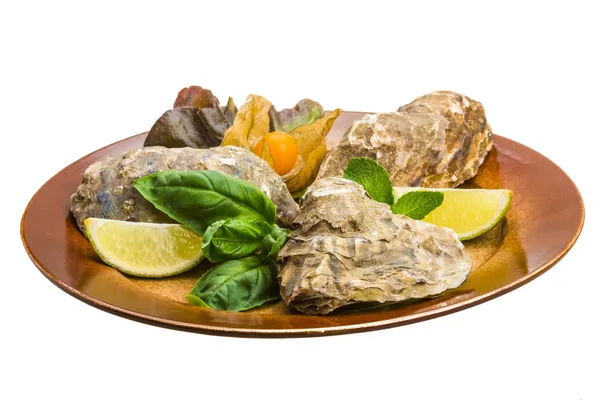 Fresh oyster — Stock Photo, Image