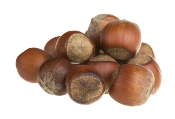 Dried hazelnuts — Stock Photo, Image