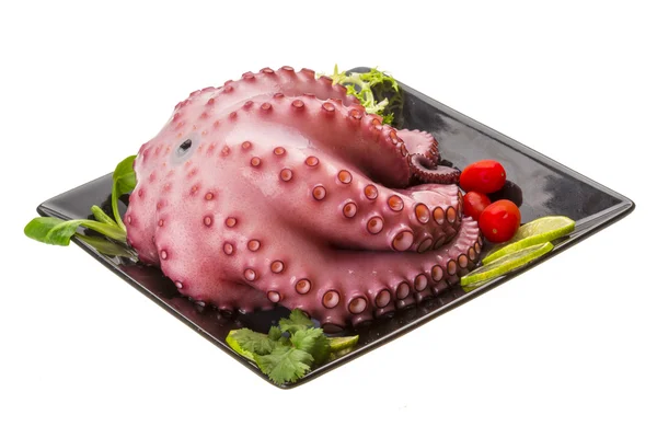 Grande pieuvre bouillie — Photo