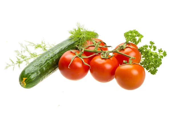 Czerwone dojrzałe pomidory na gałęzi — Zdjęcie stockowe