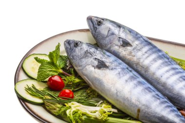 taze atlanticmackerel