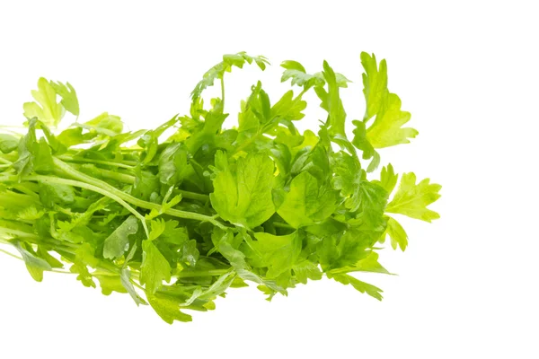 Celery — Stock Photo, Image