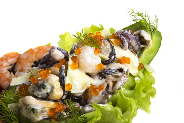 Seafood sallad med röd kaviar i avokado — Stockfoto
