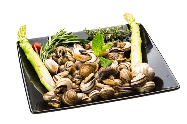 Escargot with asparagus, rosemary, thymus and tomato — Stock Photo, Image