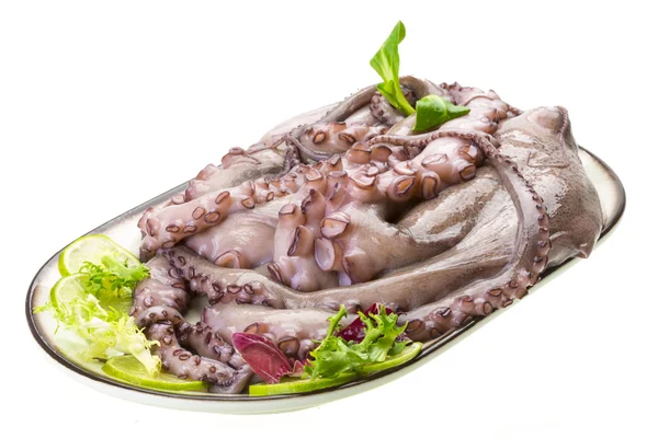 Raw large octopus — Stock Photo, Image