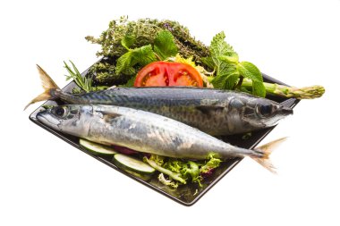 Atlantik ham sardalya