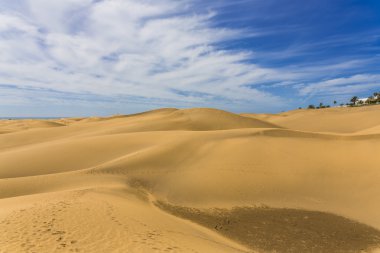 Maspalomas Duna - Kanarya adası Büyük Kanarya Çölü