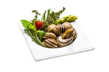 enginar, kuşkonmaz, biberiye, timus ve domates ile
