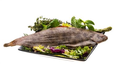 dil balığı balık