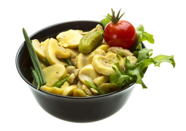 beyaz daire üzerinde beyaz izole içinde Marine mantar