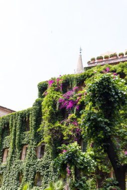 Bina kalıntıları ve antik sütunlar, Roma, İtalya