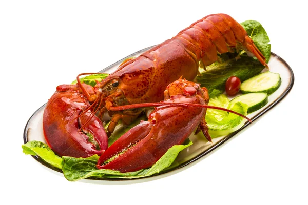 Large Lobster — Stock Photo, Image