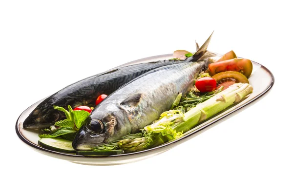 Sardinas crudas del Atlántico —  Fotos de Stock