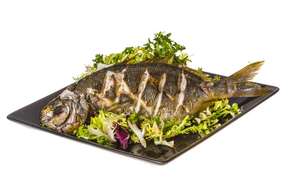 Salema porgy - Sarpa-Fisch — Stockfoto