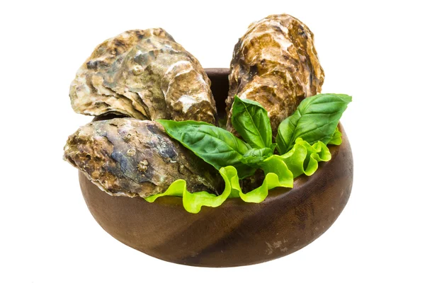 Fresh oyster — Stock Photo, Image