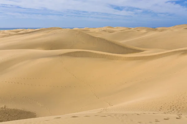 Maspalomas Duna - Pustynia na Wyspach Kanaryjskich Gran Canaria — Zdjęcie stockowe