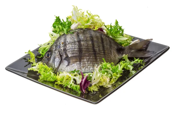 Rohes Tilapia — Stockfoto