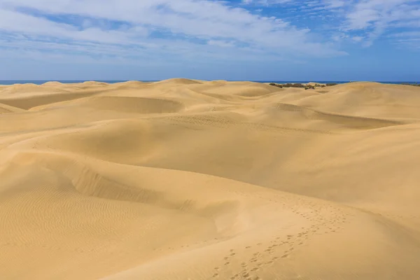 Maspalomas Duna - Deserto na ilha Canária Gran Canaria — Fotografia de Stock