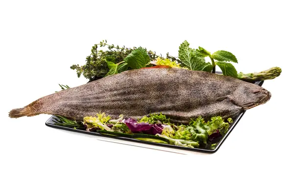 dil balığı balık