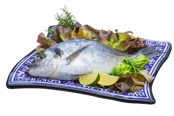 Fresh raw dorada — Stock Photo, Image