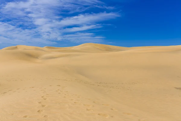 马斯帕洛马斯 · 杜纳-加那利岛上的沙漠 — 图库照片