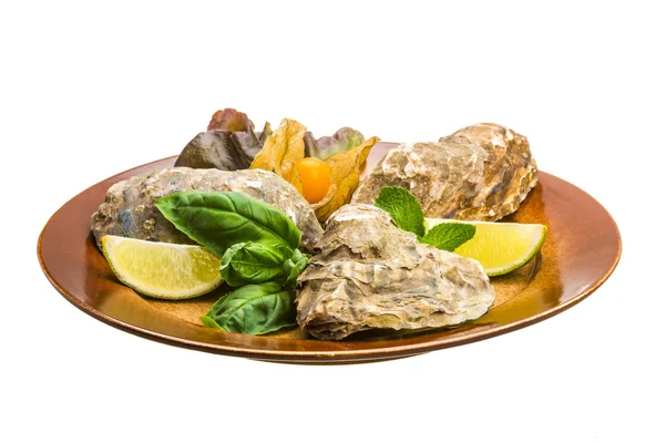 Fresh oyster — Stock Photo, Image