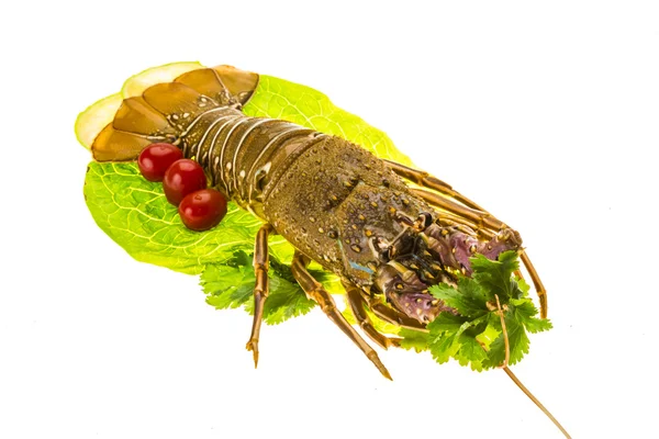 Langostas espinosas crudas — Foto de Stock