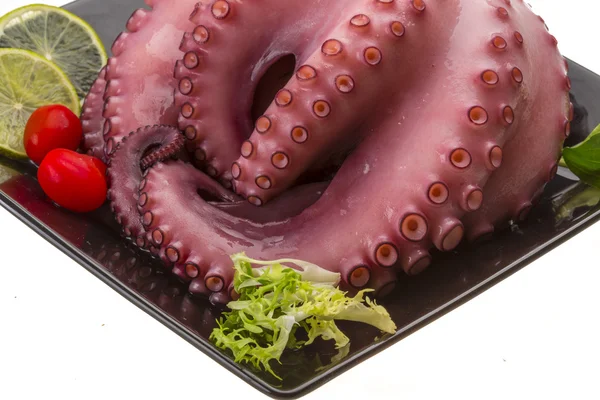 Grote gekookte octopus — Stockfoto