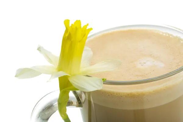 Coffee Late with Flower, mint, star-anise and cinnamon — Stock Photo, Image