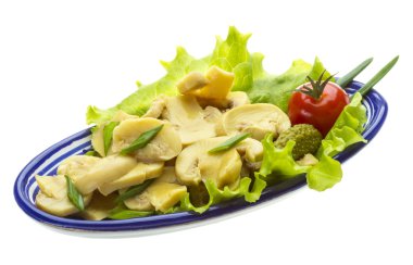 beyaz daire üzerinde beyaz izole içinde Marine mantar