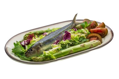 taze ringa balığı