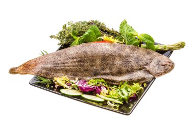 dil balığı balık