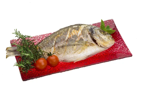 Dorado grilled — Stock Photo, Image