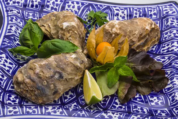 Fresh oyster — Stock Photo, Image