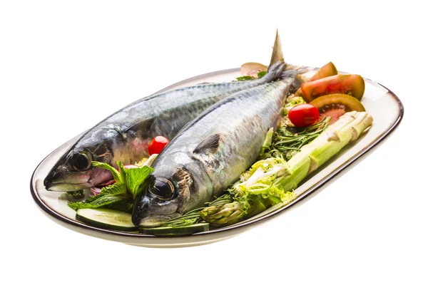 Atlantische Rohsardine — Stockfoto